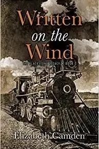 Book cover of Written on the Wind