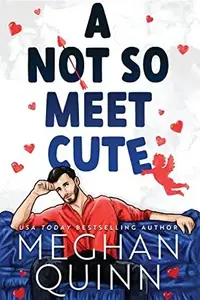 Book cover of A Not So Meet Cute