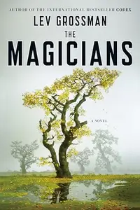 Book cover of The Magicians