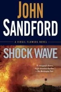 Book cover of Shock wave