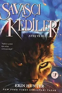 Book cover of Fire and Ice
