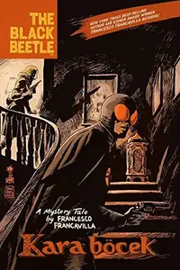 Book cover of Black Beetle Kara Bocek