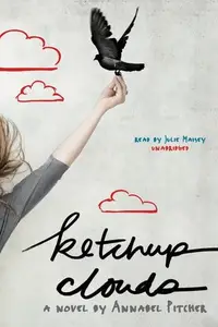 Book cover of Ketchup Clouds