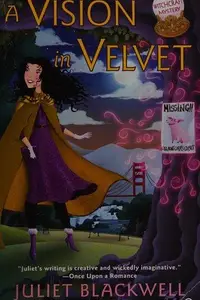 Book cover of A Vision in Velvet