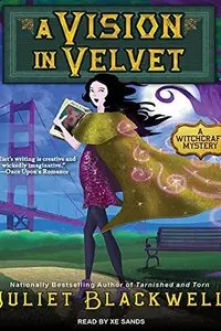 Book cover of A Vision in Velvet