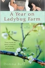 Book cover of A year on Ladybug Farm