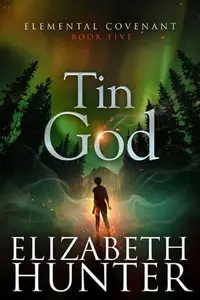 Book cover of Tin God