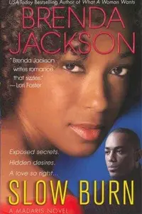 Book cover of Slow Burn