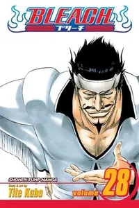 Book cover of Bleach, Vol. 28