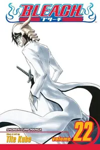 Book cover of Bleach, Vol. 22