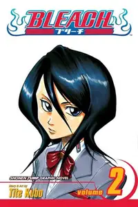 Book cover of Bleach, Volume 02