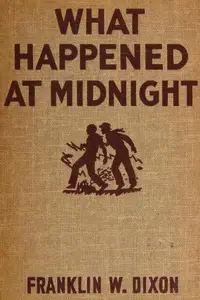 Book cover of What Happened at Midnight