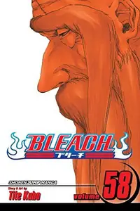 Book cover of Bleach, Vol. 58: The Fire