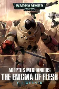 Book cover of The Enigma of Flesh