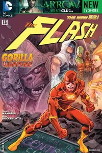 Book cover of The Flash #13