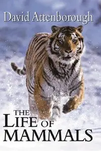 Book cover of The Life of Mammals