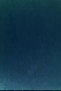 Book cover of A first look at sharks