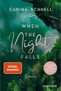 Book cover of When the Night Falls