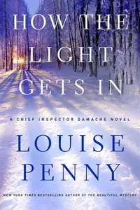 Book cover of How the Light Gets In