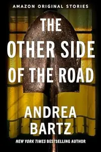 Book cover of The Other Side of the Road