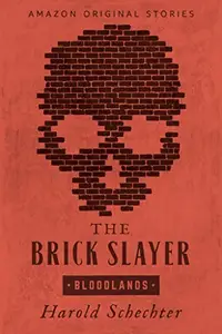 Book cover of The Brick Slayer