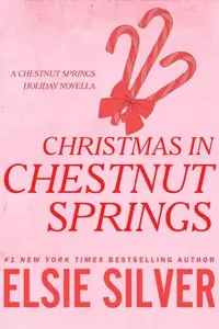 Book cover of Christmas In Chestnut Springs