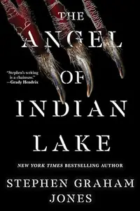 Book cover of The Angel of Indian Lake