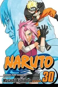 Book cover of Naruto, Vol. 30