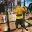 Alvaro MG's avatar