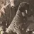 John Steinbeck's avatar