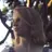 Emily Skrutskie's avatar