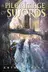 Book cover of A Pilgrimage of Swords