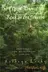 Book cover of The Most Beautiful Roof in the World