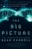 Book cover of The big picture