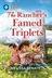 Book cover of The Rancher's Famed Triplets