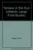Book cover of Terrace in the Sun