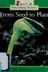 Book cover of From Seed to Plant