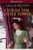 Book cover of Clue In The Castle Tower