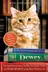 Book cover of Dewey Lib/E
