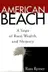 Book cover of American Beach