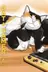Book cover of Cat + Gamer Volume 6