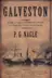 Book cover of Galveston
