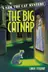 Book cover of The big catnap