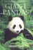 Book cover of Giant Pandas (Wildlife Monographs)