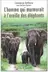 Book cover of L'homme qui murmurait à l'oreille des éléphants - [ma vie en Afrique auprès d'éléphants sauvages]