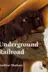 Book cover of Underground Railroad (Temporis)