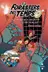 Book cover of Els Forasters del temps 2