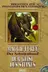 Book cover of Spirit of the Stone (Shadowleague)