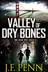 Book cover of Valley of Dry Bones