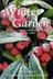 Book cover of The Winter Garden